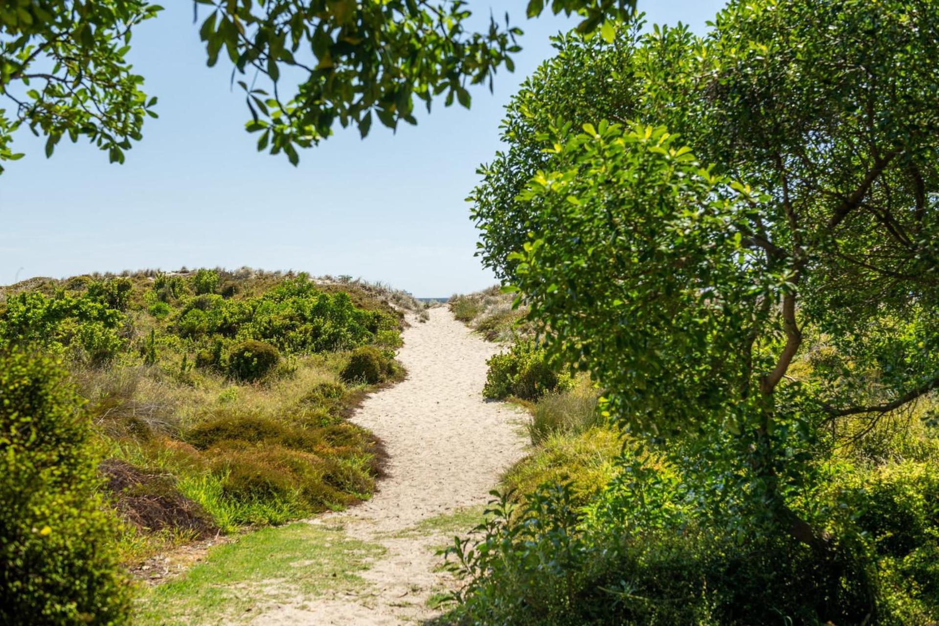 Ocean Beach Getaway Mount Maunganui Exteriör bild
